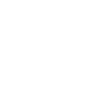 Search Icon